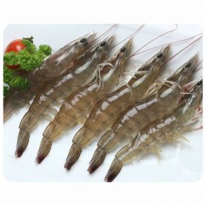 White shrimp (grilled, steamed, Stir fried spicy butter, white shrimp with mustard, fried shrimp with garlic with 